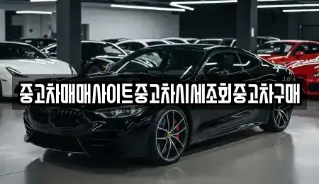 서울특별시 종로구 중학동 중고차매매 전문 중고차매매사이트중고차시세조회중고차구매