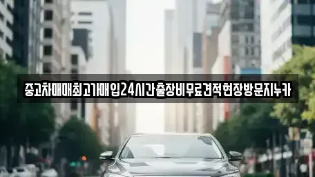 서울특별시 종로구 중학동 중고차매입 전문 중고차매매최고가매입24시간출장비무료견적현장방문지누카