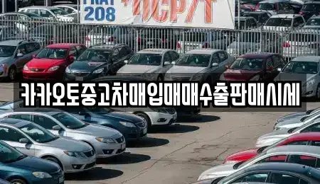 서울특별시 종로구 중학동 중고차매입 전문 카카오토중고차매입매매수출판매시세