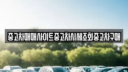 인천광역시 강화군 화도면 중고차 전문 중고차매매사이트중고차시세조회중고차구매
