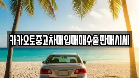 인천광역시 강화군 화도면 중고차매입 전문 카카오토중고차매입매매수출판매시세
