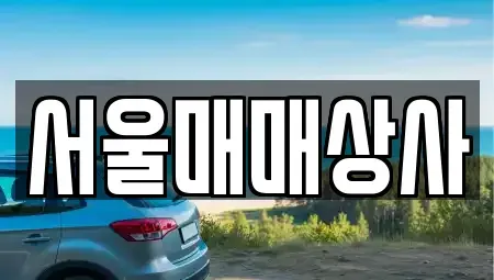 전라남도 광양시 진상면 중고차 전문 서울매매상사