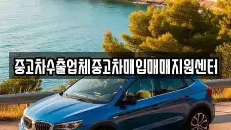 전라남도 광양시 진상면 중고차매입 전문 중고차수출업체중고차매입매매지원센터