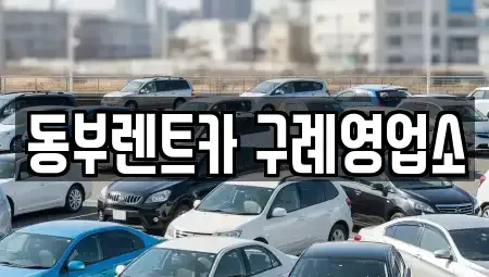 전라남도 구례군 마산면 렌트카 전문 동부렌트카 구례영업소