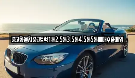 전북 군산시 개사동 중고차 전문 중고화물차중고트럭1톤2.5톤3.5톤4.5톤5톤매매수출매입