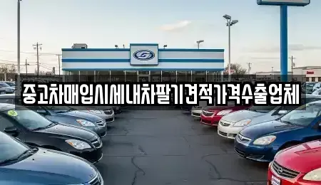 충남 보령시 남곡동 중고차 전문 중고차매입시세내차팔기견적가격수출업체