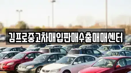 충남 보령시 남곡동 중고차매입 전문 김프로중고차매입판매수출매매센터