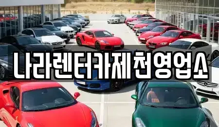 충북 제천시 청전동 렌트카 전문 나라렌터카제천영업소