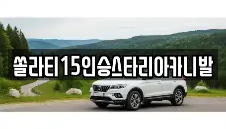 충북 제천시 청전동 렌트카 전문 쏠라티15인승스타리아카니발