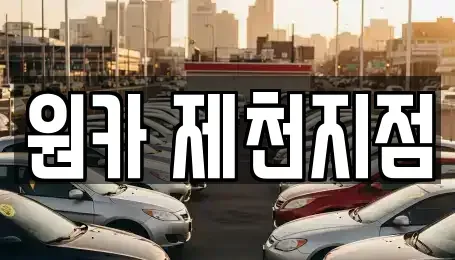 충북 제천시 청전동 렌트카 전문 원카 제천지점