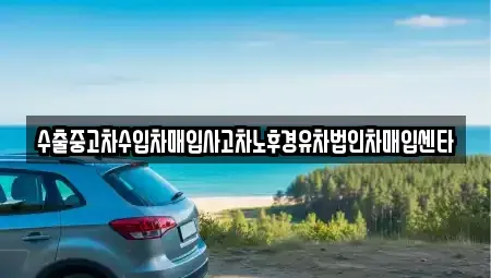충북 제천시 청전동 중고차 전문 수출중고차수입차매입사고차노후경유차법인차매입센타