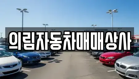 충북 제천시 청전동 중고차 전문 의림자동차매매상사