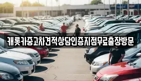 충북 제천시 청전동 중고차 전문 캐롯카중고차견적상담인증지점무료출장방문