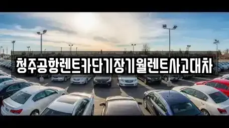 충북 청주시 상당구 남문로1가 렌트카 전문 청주공항렌트카단기장기월렌트사고대차