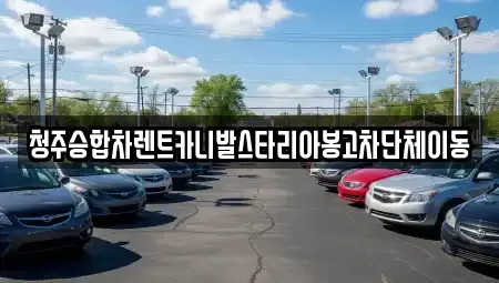 충북 청주시 상당구 남문로1가 렌트카 전문 청주승합차렌트카니발스타리아봉고차단체이동