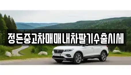충북 청주시 상당구 남문로1가 중고차 전문 정든중고차매매내차팔기수출시세