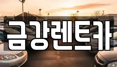 충청남도 서산시 예천동 렌트카 전문 금강렌트카