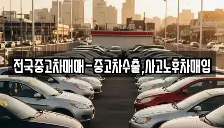 충청남도 서산시 예천동 중고차매매 전문 전국중고차매매-중고차수출,사고노후차매입