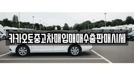충청남도 서산시 예천동 중고차매매 전문 카카오토중고차매입매매수출판매시세