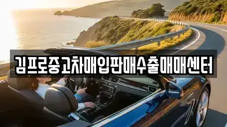 충청남도 서산시 예천동 중고차매입 전문 김프로중고차매입판매수출매매센터