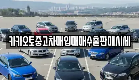 충청남도 서산시 운산면 중고차매입 전문 카카오토중고차매입매매수출판매시세