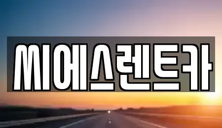 충청남도 천안시 동남구 삼룡동 렌트카 전문 씨에스렌트카