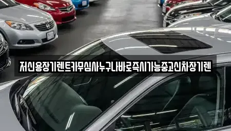 충청남도 천안시 동남구 삼룡동 렌트카 전문 저신용장기렌트카무심사누구나바로즉시가능중고신차장기렌
