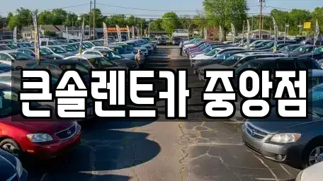 충청남도 천안시 동남구 삼룡동 렌트카 전문 큰솔렌트카 중앙점