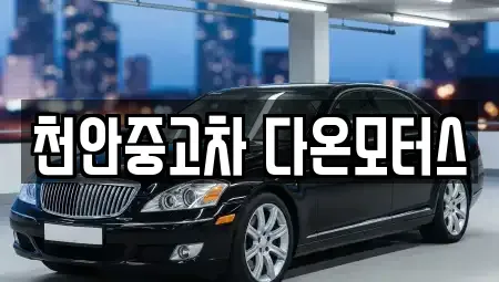 충청남도 천안시 동남구 삼룡동 중고차매매 전문 천안중고차 다온모터스